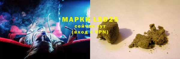 Альфа ПВП Гусев