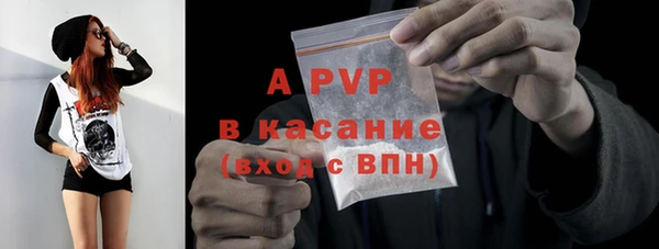 стафф Богородск