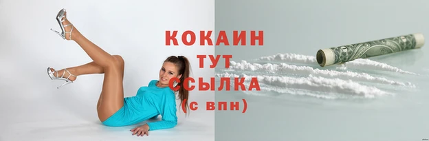 скорость Богданович