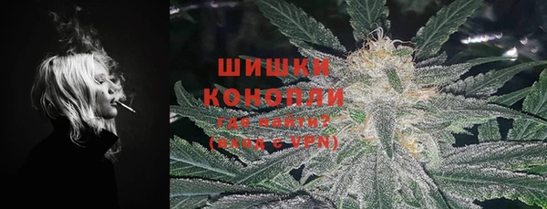 Альфа ПВП Гусев