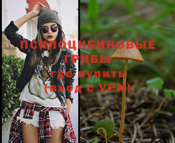 скорость Богданович